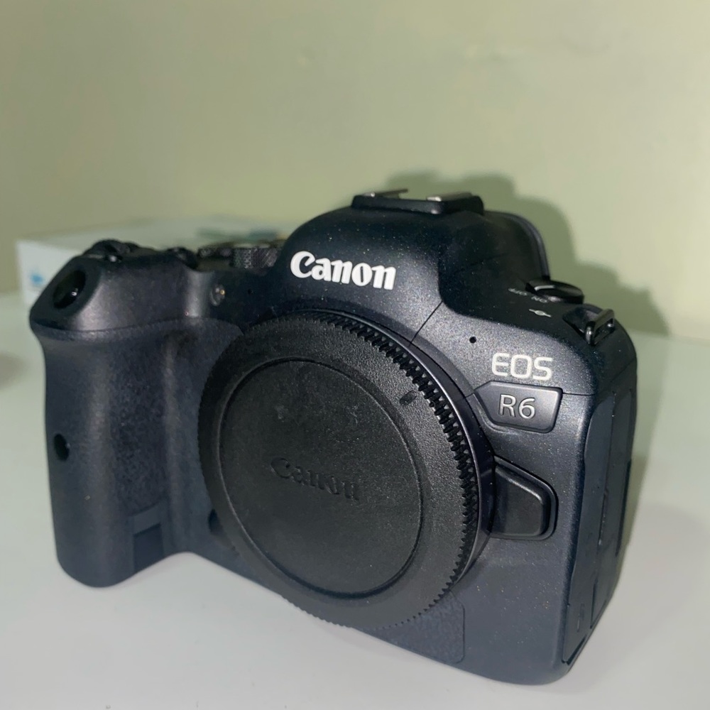 Canon R6 with Lens - Picture 12 of 13